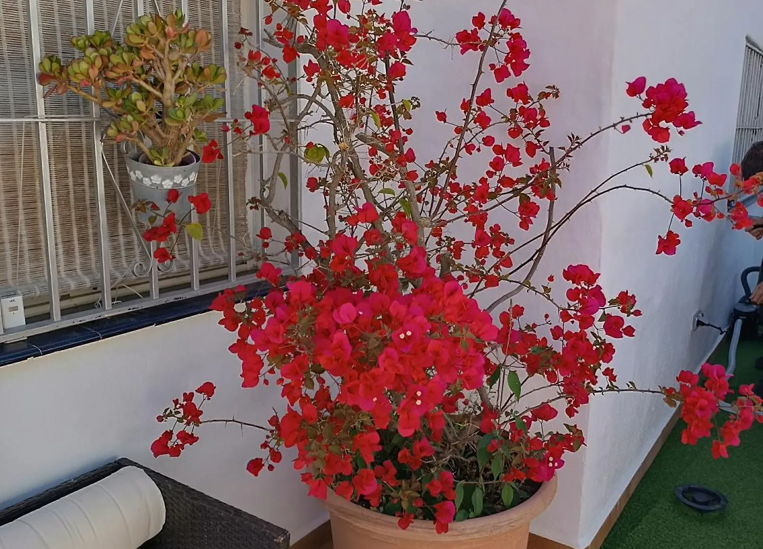 Cortijo Papaitos Villa Frigiliana